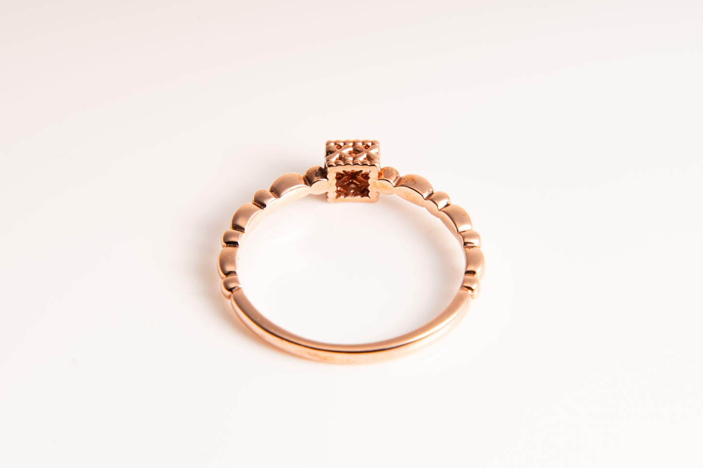 スターライト、温かな黄金色と虹色の幻想的な輝き